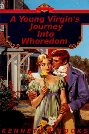 Cover of A Young Virgin's Journey Into Whoredom