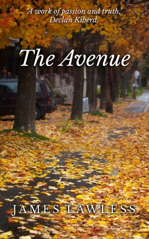 Cover of the book The Avenue by James Lawless