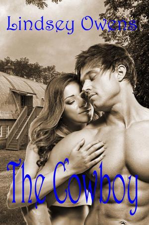 Cover of the book The Cowboy by Lei e Vandelli