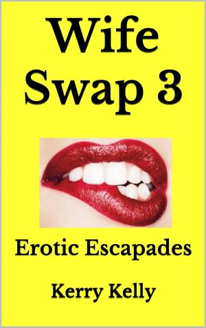 Book cover of Wife Swap 3: Erotic Escapades