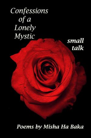 Book cover of Confessions of a Lonely Mystic small talk