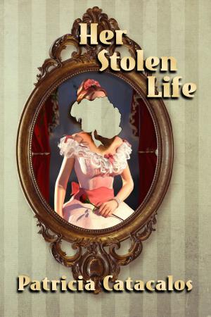 Cover of Her Stolen Life (The Zane Brothers Detective Series Book 4)