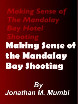 Book cover of Making Sense of the Mandalay Bay Hotel Shooting