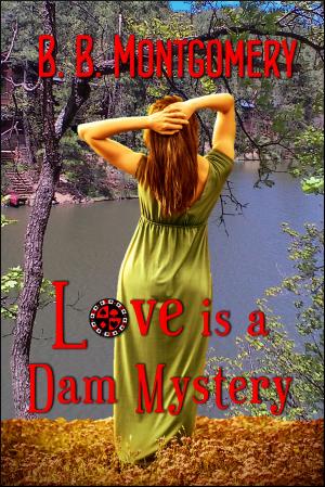 Cover of the book Love is a Dam Mystery by Bonnie Lawrence