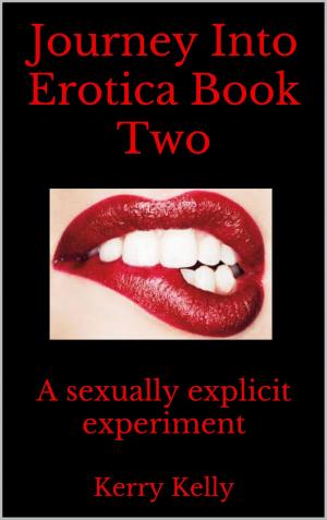 bigCover of the book Journey Into Erotica: Book Two by 