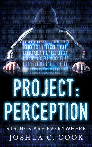 Book cover of Project: Perception