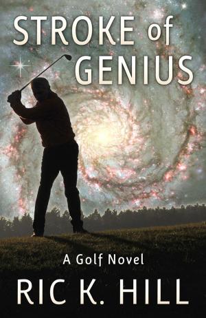 Book cover of Stroke of Genius
