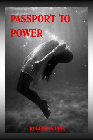 Book cover of Passport to Power