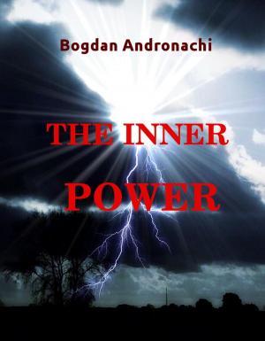 Cover of the book The Inner Power by Chance Johnmeyer