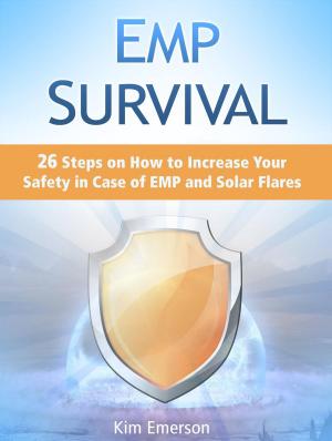 Cover of the book EMP Survival: 26 Steps on How to Increase Your Safety in Case of EMP and Solar Flares by Jose Jenkins