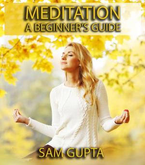Cover of the book Meditation For Beginners by Kate Valdez