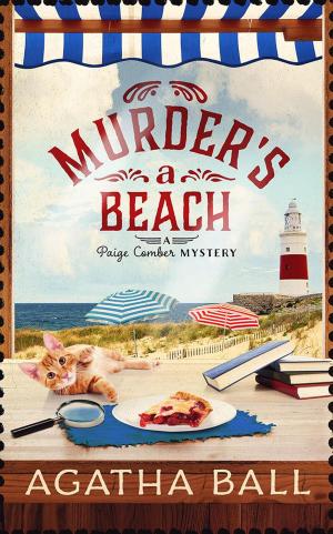 Book cover of Murder's A Beach