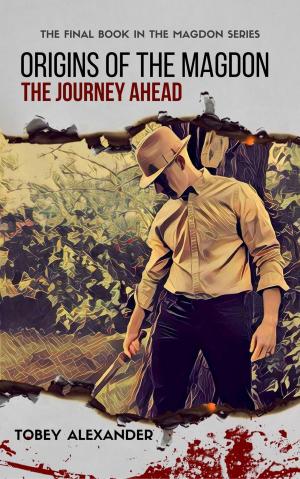 Book cover of Origins Of The Magdon: The Journey Ahead