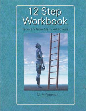 Book cover of 12 Step Workbook