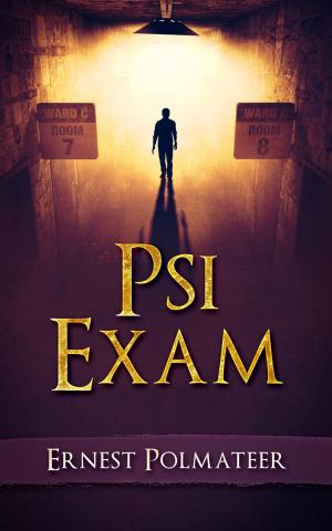 Cover of the book Psi Exam by Michael O'Farrell