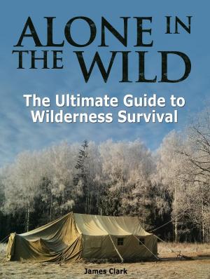 Book cover of Alone in the Wild: The Ultimate Guide to Wilderness Survival