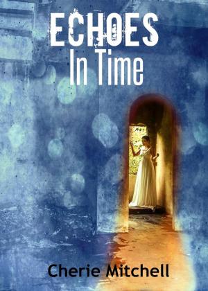 Cover of the book Echoes In Time by Stephanie Park