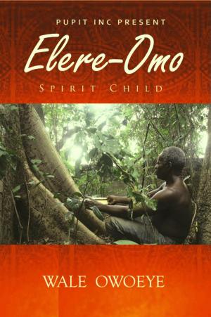 Book cover of Elere Omo: The Spirit Child