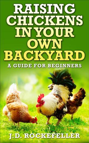 Cover of the book Raising Chickens in Your Own Backyard: A Beginner's Guide by J.D. Rockefeller