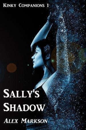 bigCover of the book Sally's Shadow by 