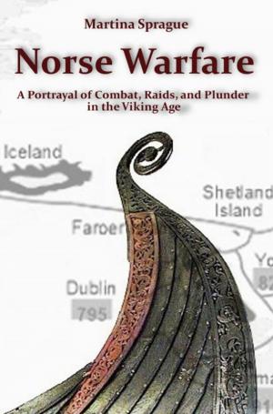 Book cover of Norse Warfare: A Portrayal of Combat, Raids, and Plunder in the Viking Age