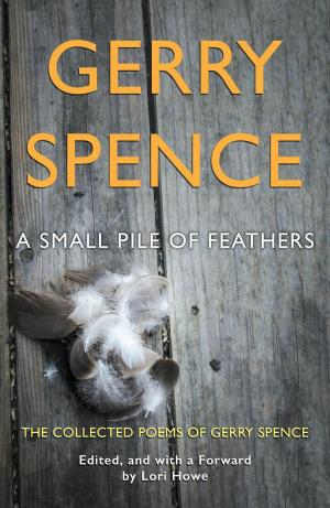 Cover of the book A Small Pile of Feathers by Aaron Linsdau