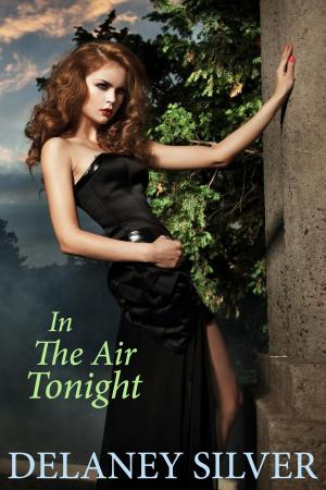 Cover of the book In The Air Tonight by SM Johnson