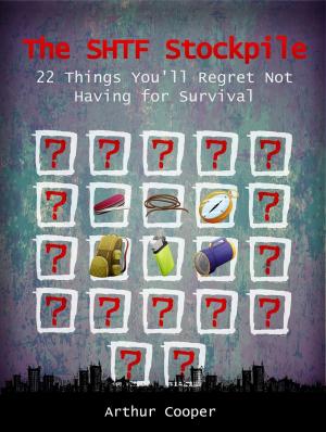 Cover of the book The SHTF Stockpile: 22 Things You'll Regret Not Having for Survival by Donald Williams