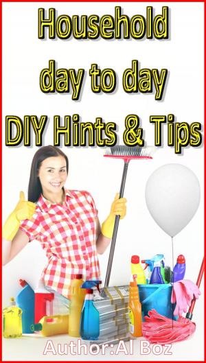 Book cover of Household Day to Day DIY Hints