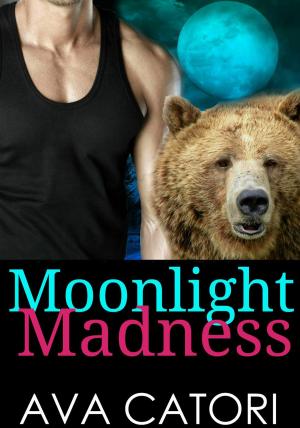 bigCover of the book Moonlight Madness by 