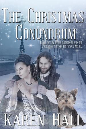 Book cover of The Christmas Conundrum