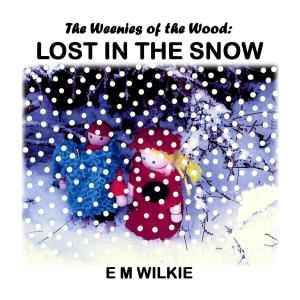 Book cover of Lost in the Snow