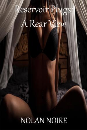 Cover of the book Reservoir Plugs: A Rear View by Jennie Kew