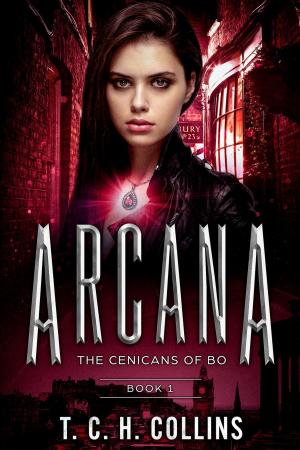 Cover of the book Arcana by Simon Donato