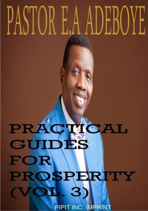 Cover of the book Practical Guides for Prosperity #3 by Pastor E. A Adeboye
