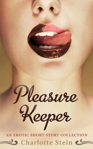 Book cover of Pleasure Keeper
