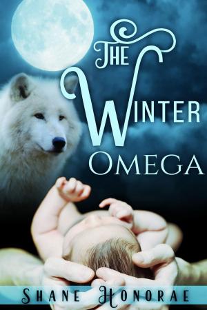 Cover of the book The Winter Omega by Angela Corbett