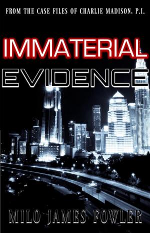 Cover of the book Immaterial Evidence by Dean Barrett