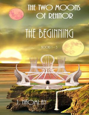 Cover of the book The Beginning by J. Naomi Ay