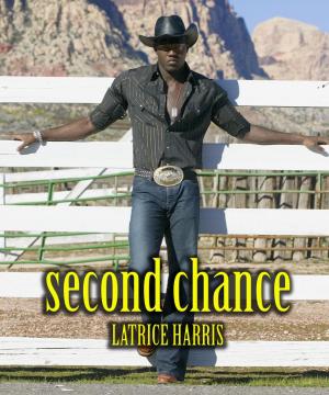 Cover of the book Second Chance by Rich Van Heusen
