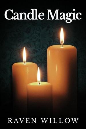 Cover of the book Candle Magic by David W. Read