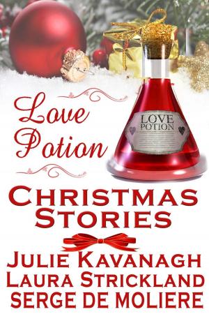 Cover of the book Love Potion Christmas Stories by Angela Ford, Jennifer Conner, Natalie-Nicole Bates, Tammy Tate