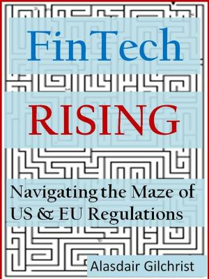 Book cover of FinTech Rising: Navigating the maze of US & EU regulations