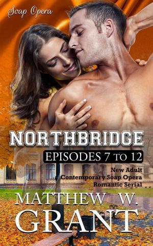Cover of the book Northbridge Episodes Seven To Twelve (New Adult Contemporary Soap Opera Romantic Serial) by Emma Darcy