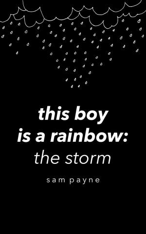 Book cover of This Boy is a Rainbow: The Storm