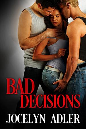 Cover of the book Bad Decisions by Niki Hale