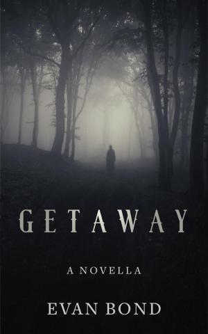 Cover of the book Getaway by Barry Spillberg
