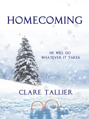 Book cover of Homecoming: Romance Short Story