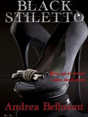 Cover of the book Black Stiletto by Andrea Bellmont