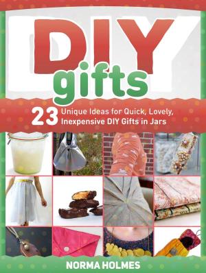 Cover of Diy Gifts: 23 Unique Ideas for Quick, Lovely, Inexpensive DIY Gifts in Jars